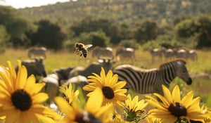 How Nature-Based Solutions Support Biodiversity