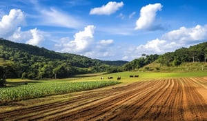 Agroforestry: Merging Agriculture with Carbon Sequestration