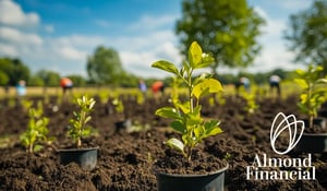 Almond Financial Goes Carbon Neutral: A Model for UK Businesses