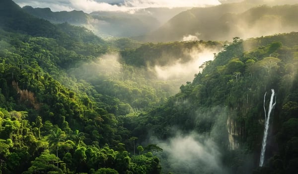 Argentina Debuts First-Ever Carbon Credit Exchange