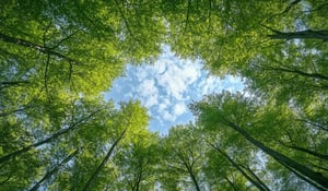 CO₂-prijzen stijgen 7% in mei nu EU en VK marktintegratie onderzoeken