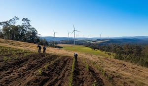 Carbon credit prices climb to four-month high in Australia