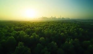 Carbon market poised to hit $1 trillion by 2050