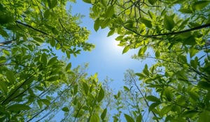 EU carbon prices gain ground in May as traders eye UK integration
