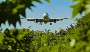 ICAO sets stricter rules for carbon offset registries in aviation