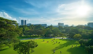 New Carbon Credit Guidelines from Singapore Target Market Confidence