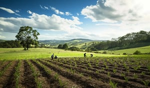 New Funding in Australia Supports Tree Planting and Carbon Credit Projects