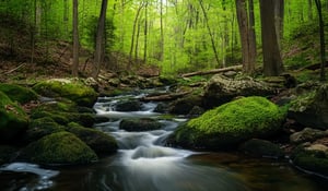 Washington’s Carbon Offset Prices May Pass $100/t by 2030s
