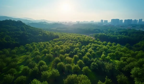 Wood Mackenzie Predicts $1.2 Trillion Surge in Global Carbon Solutions