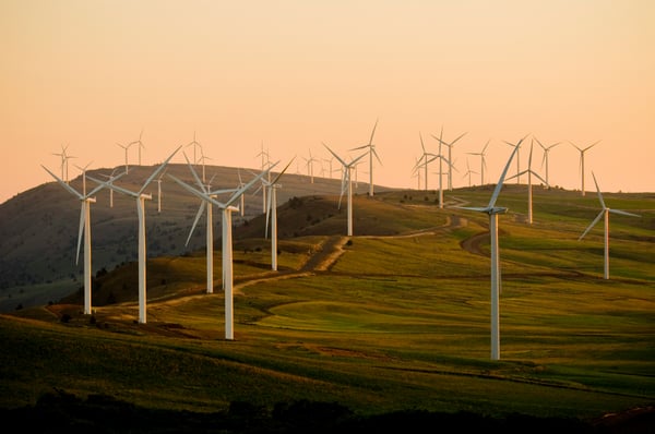 Navigating the Waters of Sustainability: The Role of Renewable Energy