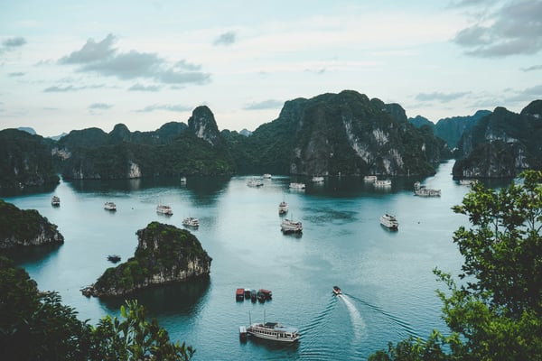 Vietnam's $51.5 Million Forest Carbon Credits: A Model for Sustainability