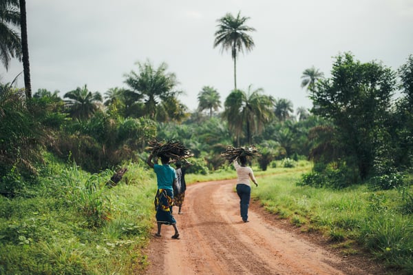 African Agriculture Holdings Unveils 2 Million Hectare Reforestation and Carbon Credit Initiative in West Africa