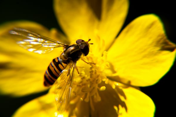 Durfkapitaalinvesteringen in natuurtechnologie stijgen in 2023