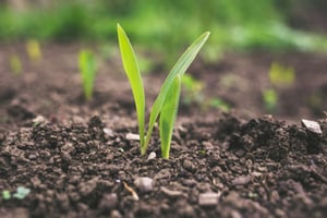 HeavyFinance Spearheads Expansion of Soil Carbon Credits in Eastern Europe
