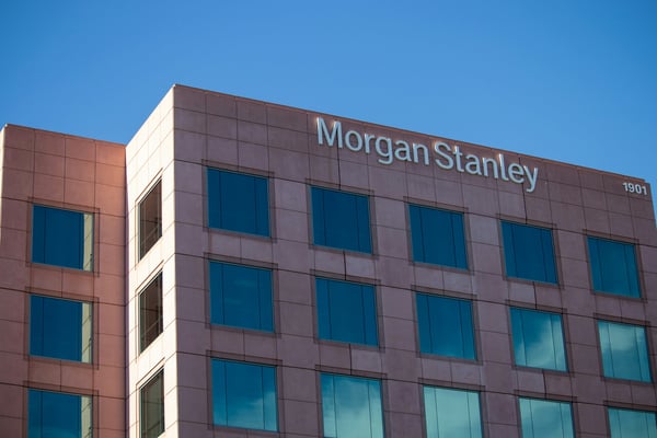 Morgan Stanley Outlines Do's and Don'ts for Carbon Offset Buyers